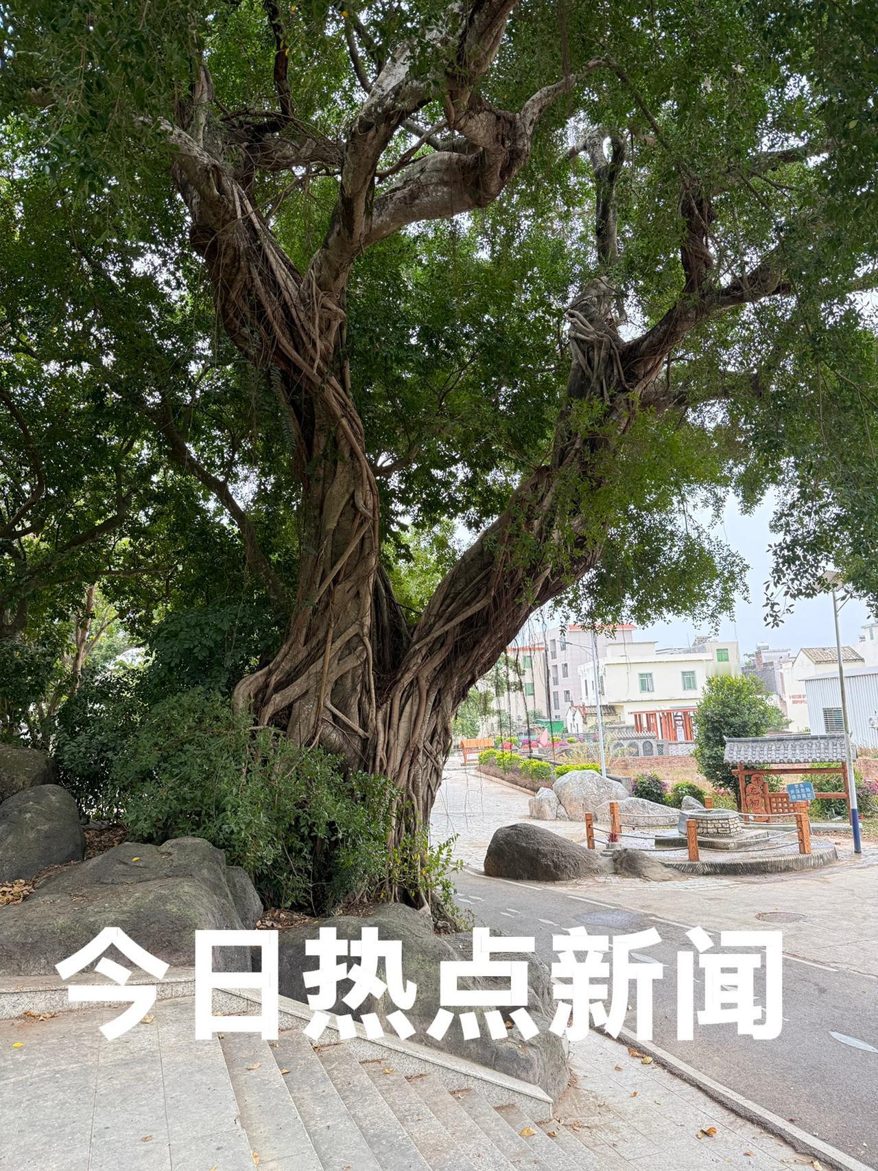 今天是2026年1月25日   星期天
今日热点新闻：

1、U23男足亚洲杯：