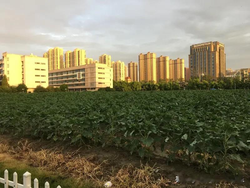 呼和浩特这个小阳春房价还是在那下跌的。
呼和浩特楼市从2026年1月5日到4月1