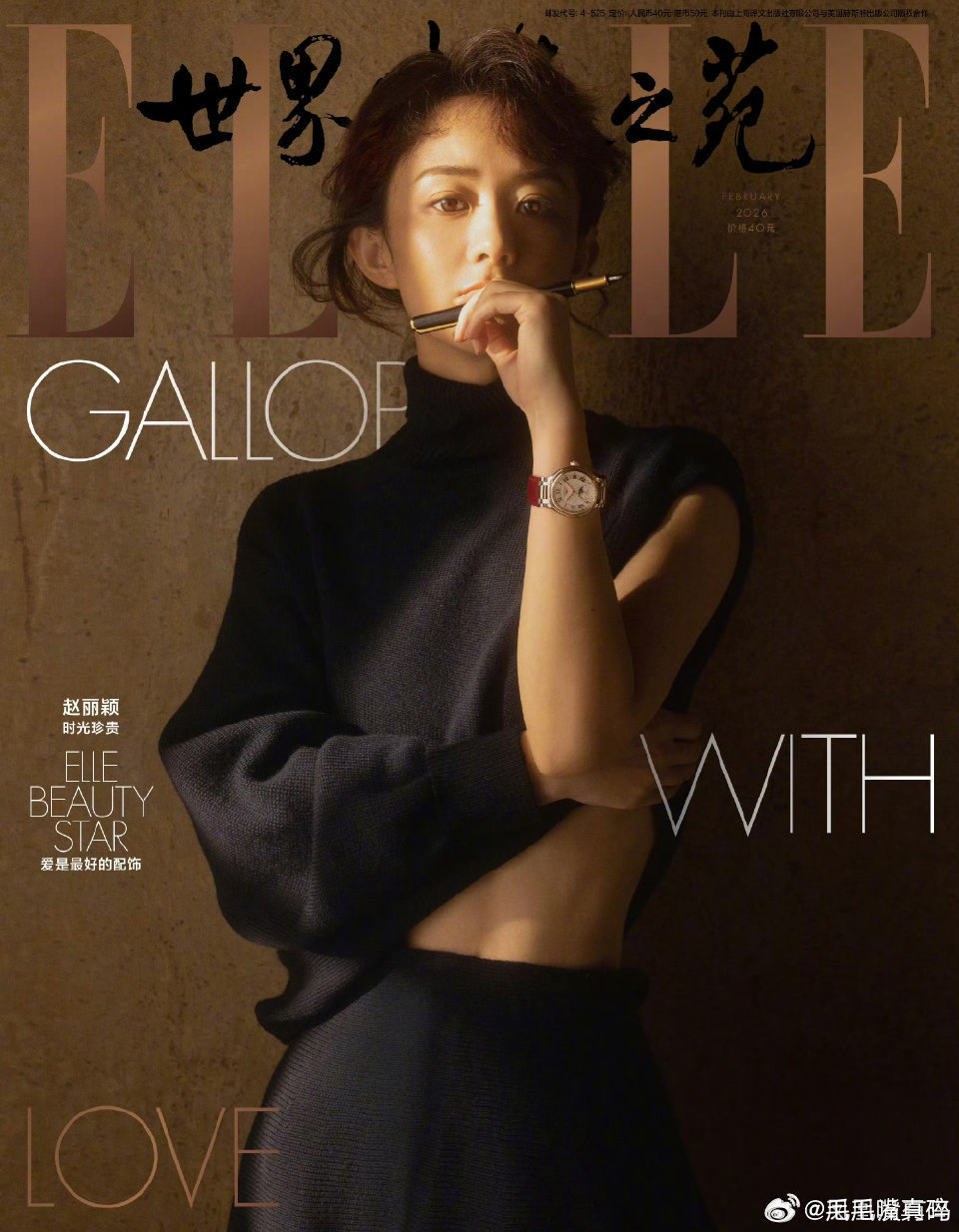 赵丽颖elle封面好文艺的一款封面造型 
