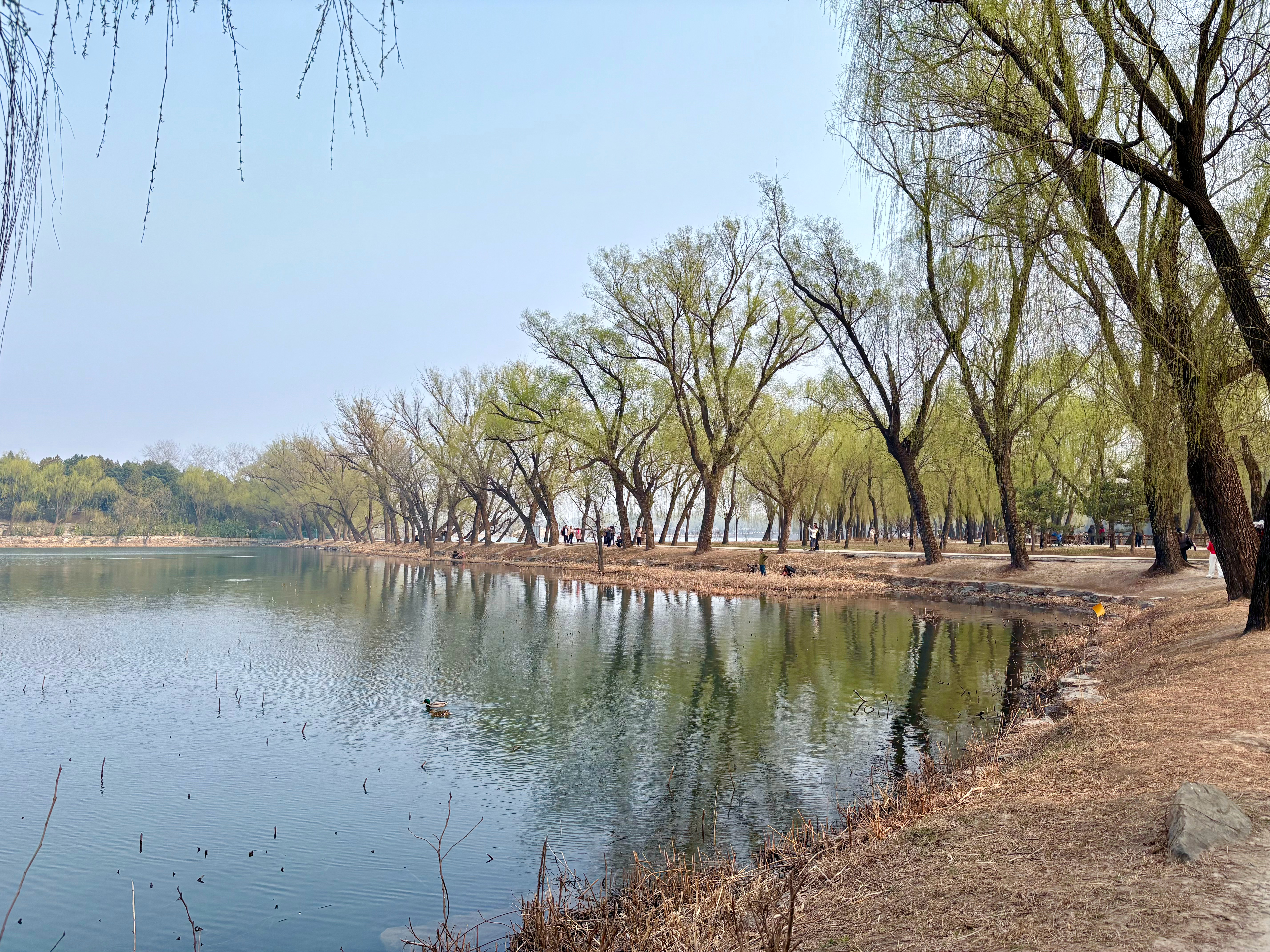 春和景明 北京·颐和园