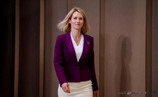 欧盟将伊卫队列入恐怖组织，美国打伊朗是反恐战争！欧盟伊朗局势伊斯兰革命卫队反恐战