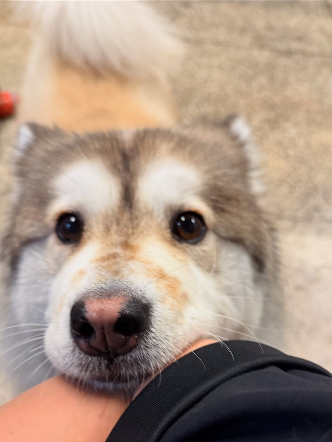 人，我会一直陪着你的 