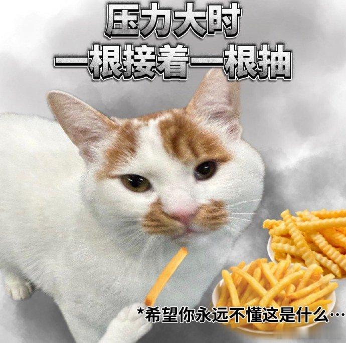 高考出分的压迫感已渗透厨师界百厨大战后厨百人厨艺大赛氛围感拉满，那种忐忑不安，完