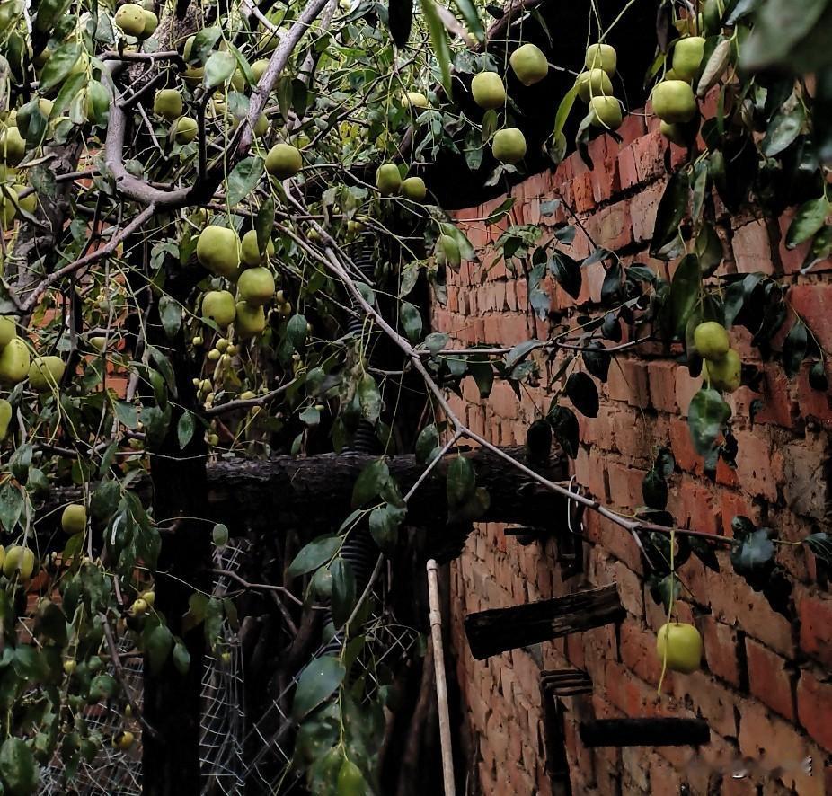 董宇辉出口成章，并不是一天练成的。我记得看他的视频，意思在上学时期就打下了基础。