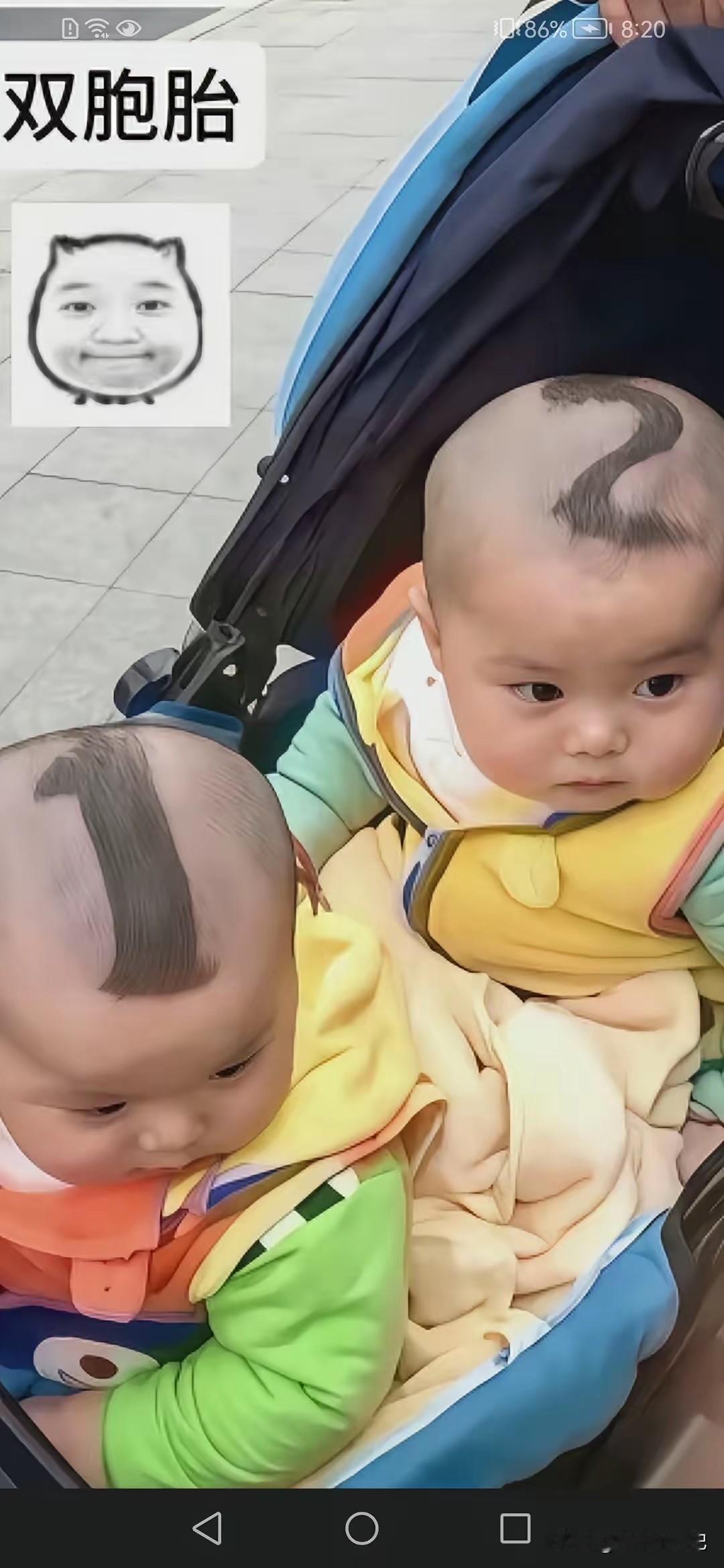 哈哈，这回错不了啦[呲牙]