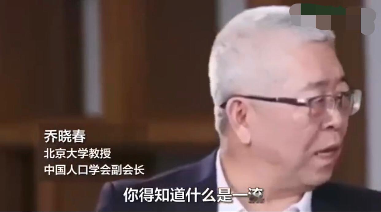 北大教授乔晓春表示：“你得知道什么是一流，然后我们再谈一流，一流不是说我们大学有