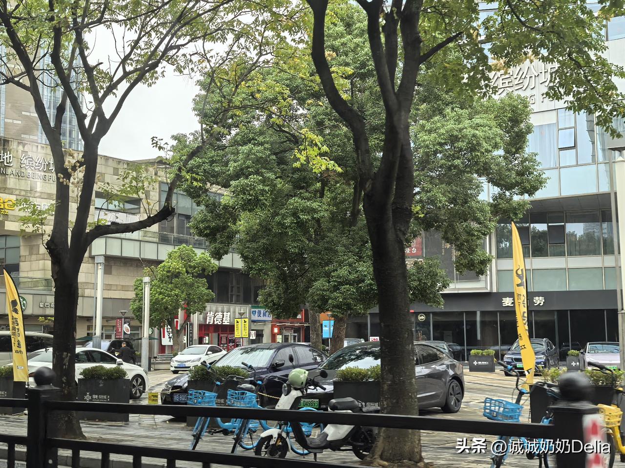 老公开车，陪我到绿地缤纷城的牙科诊所装牙冠。 预约的是11点，我们提前半小时到了