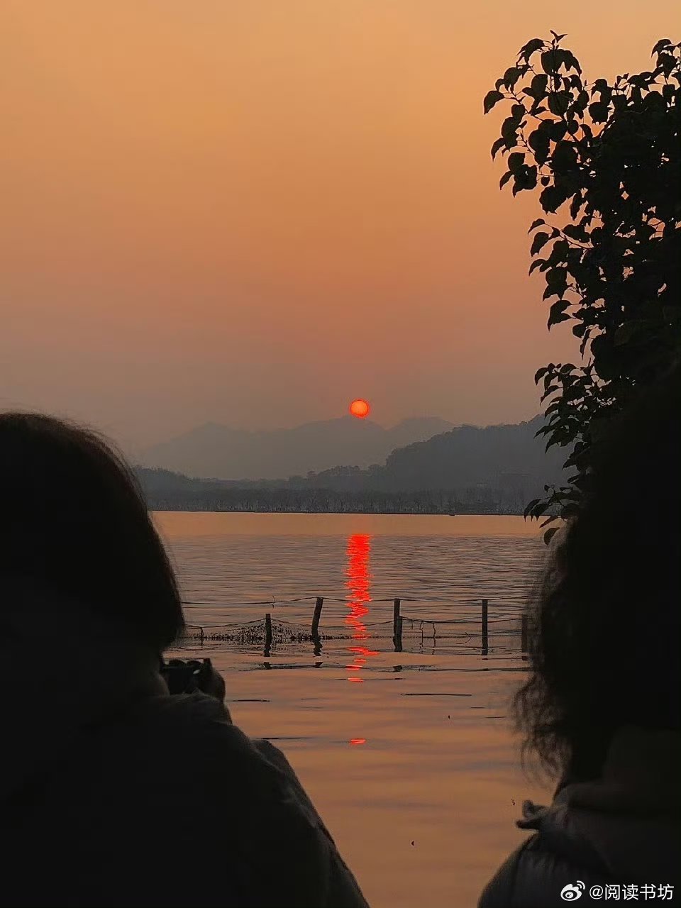 我要以自己的方式，热烈地、真诚地活一次。——简·奥斯汀 《傲慢与偏见》 