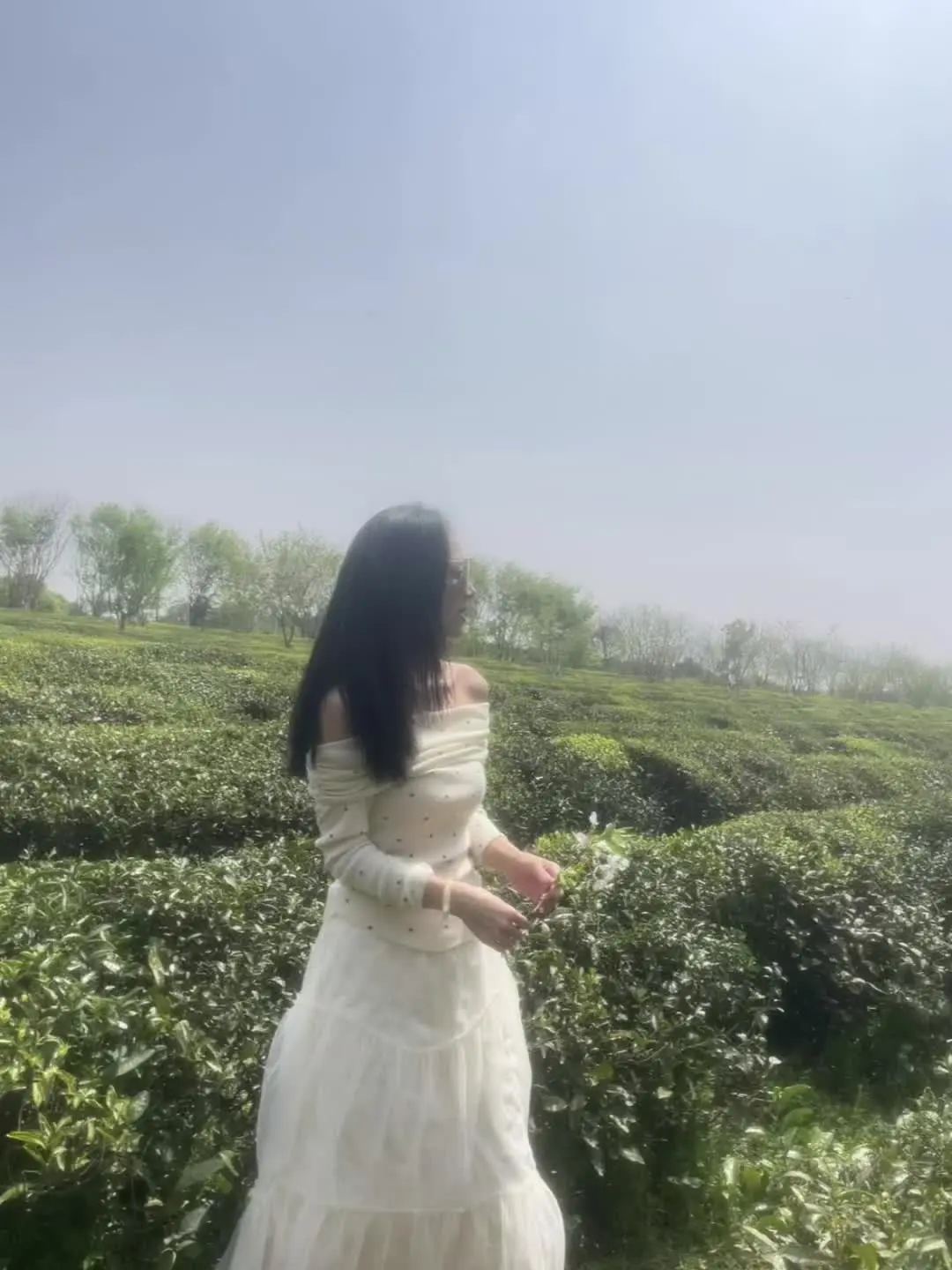 治愈心情
