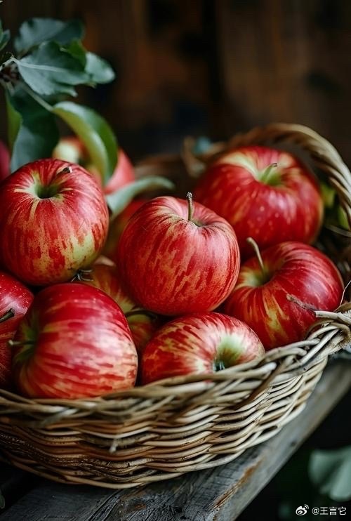 🍎 苹果公司正式确认暂停向俄罗斯用户提供App Store及所有服务的支付功能