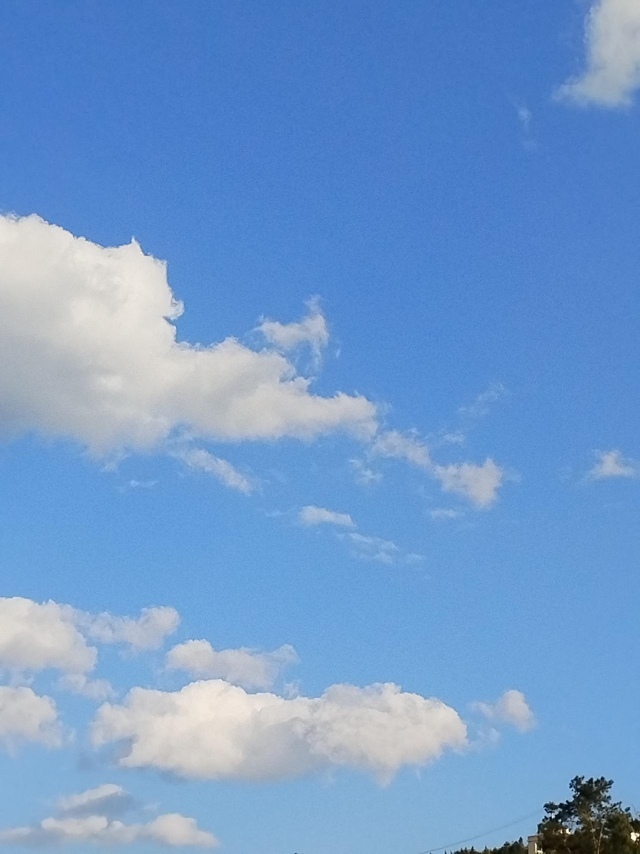 街道两旁的树木，褪去了繁茂的枝叶，只剩下光秃秃的枝干在冷冽的空气中伸展着，它们的