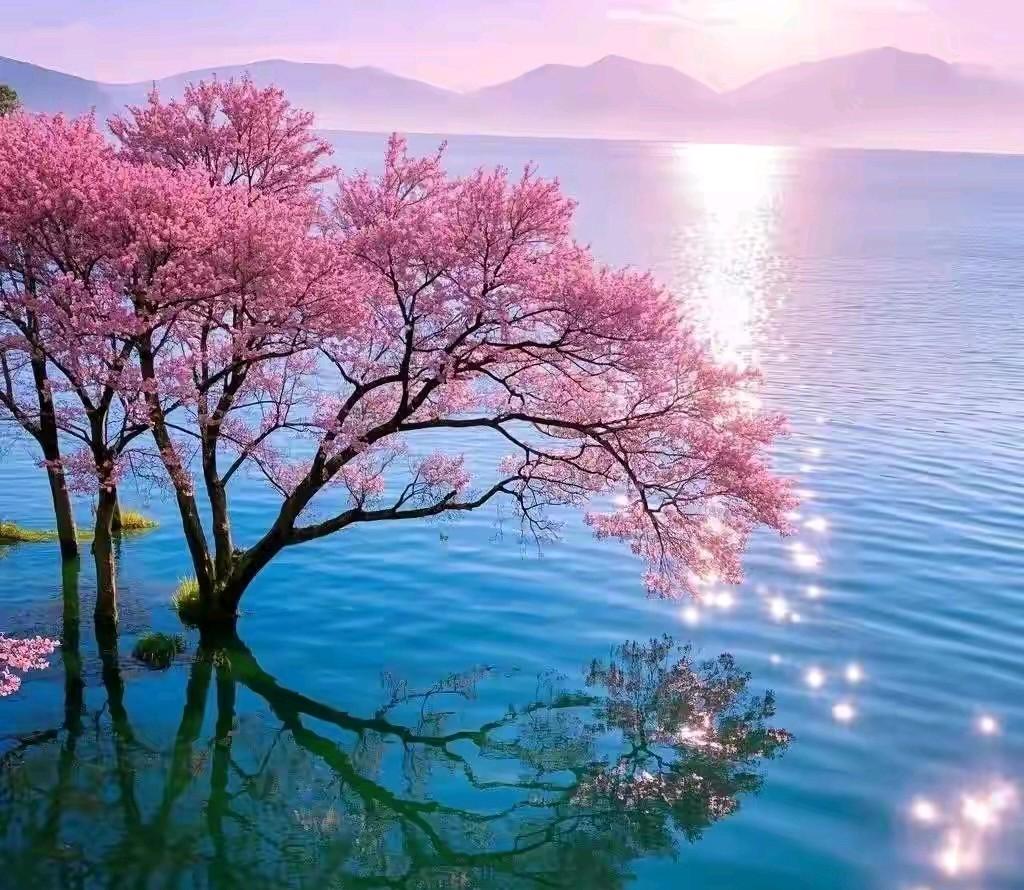 我不争
不代表你可以抢
我善良
不代表我好欺负
如果听不懂人话
我再说一遍
我不