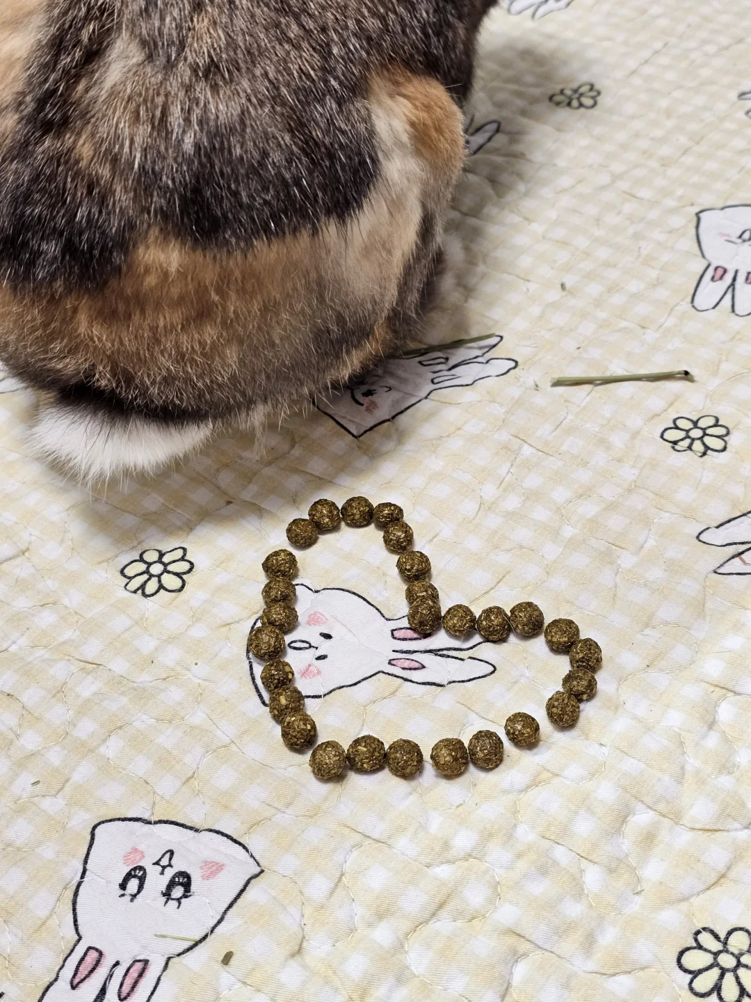 拉屎都是爱你的形状