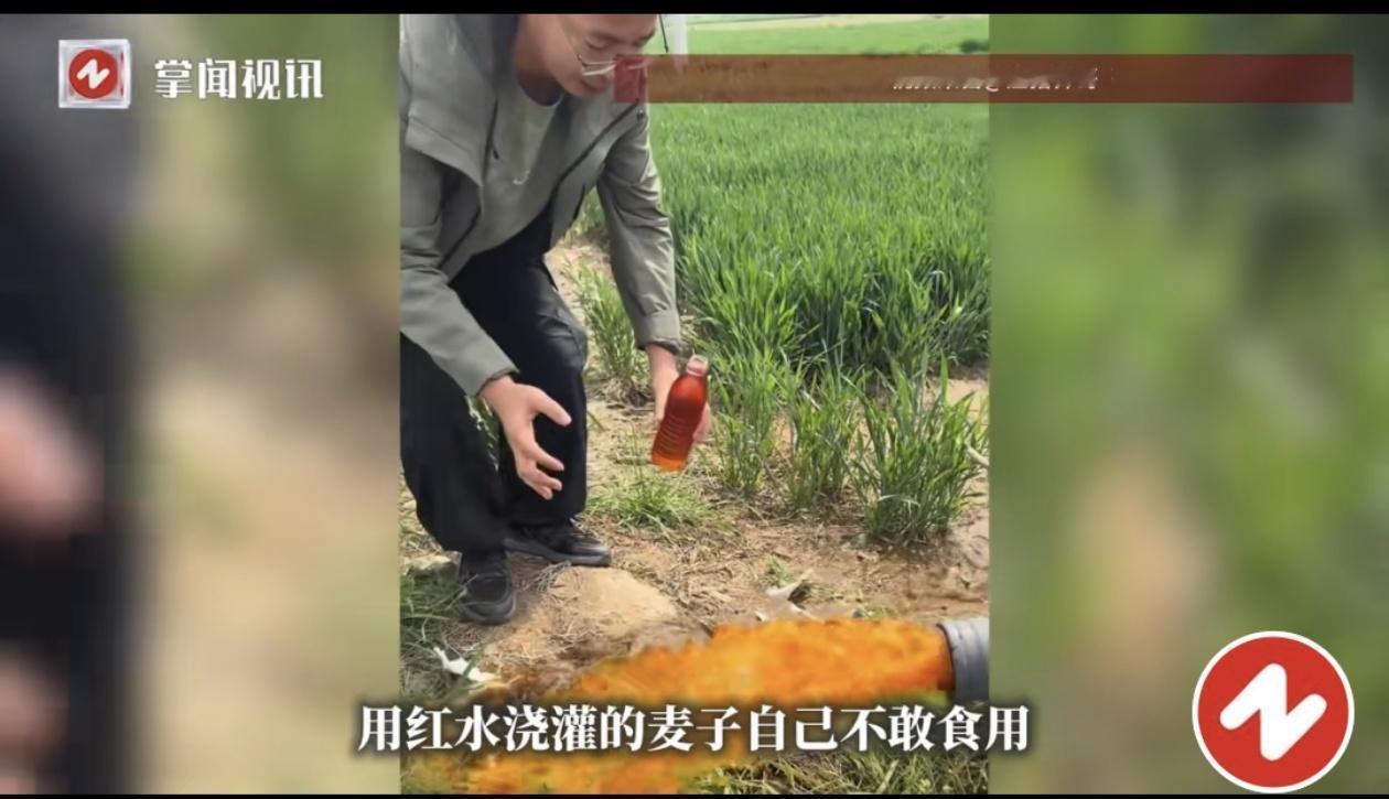 地里的麦子自已都不敢吃！你能想象吗？浇地的井里喷出的不是清水，而是像“冰红茶”一