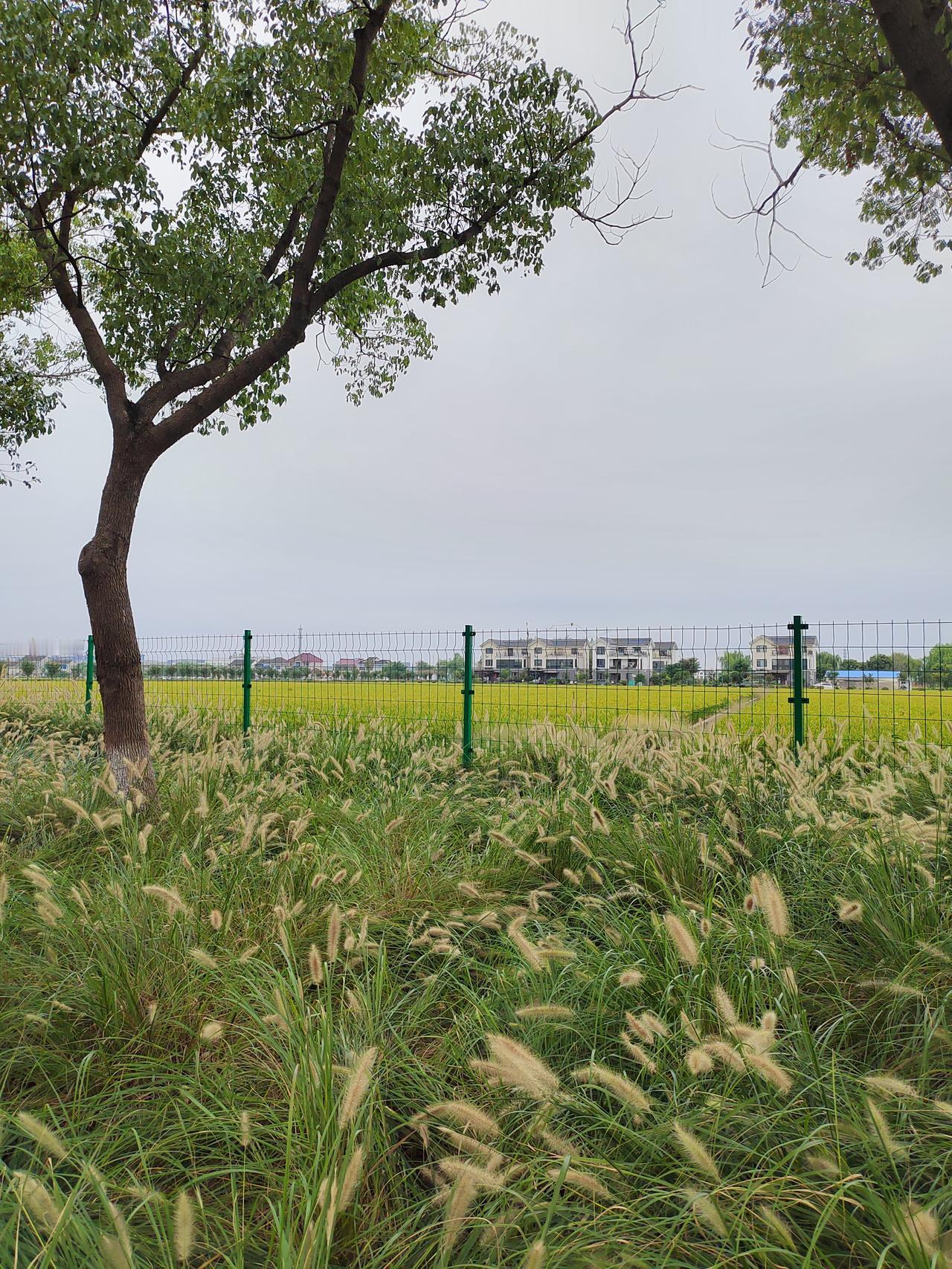 我在网上曾提出过一个问题，让大家说说自己的家乡，为什么会离开家乡，还会回去吗？