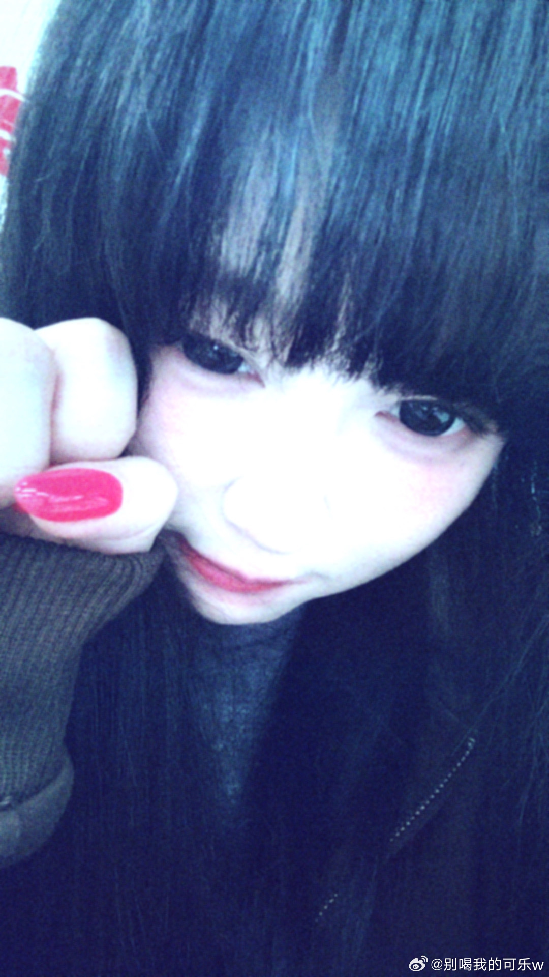 [兔子] ​​​