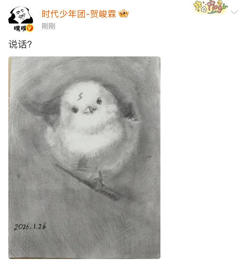 贺峻霖好厉害呀贺峻霖哈利波特版小鸟贺峻霖素描版哈利波特小鸟