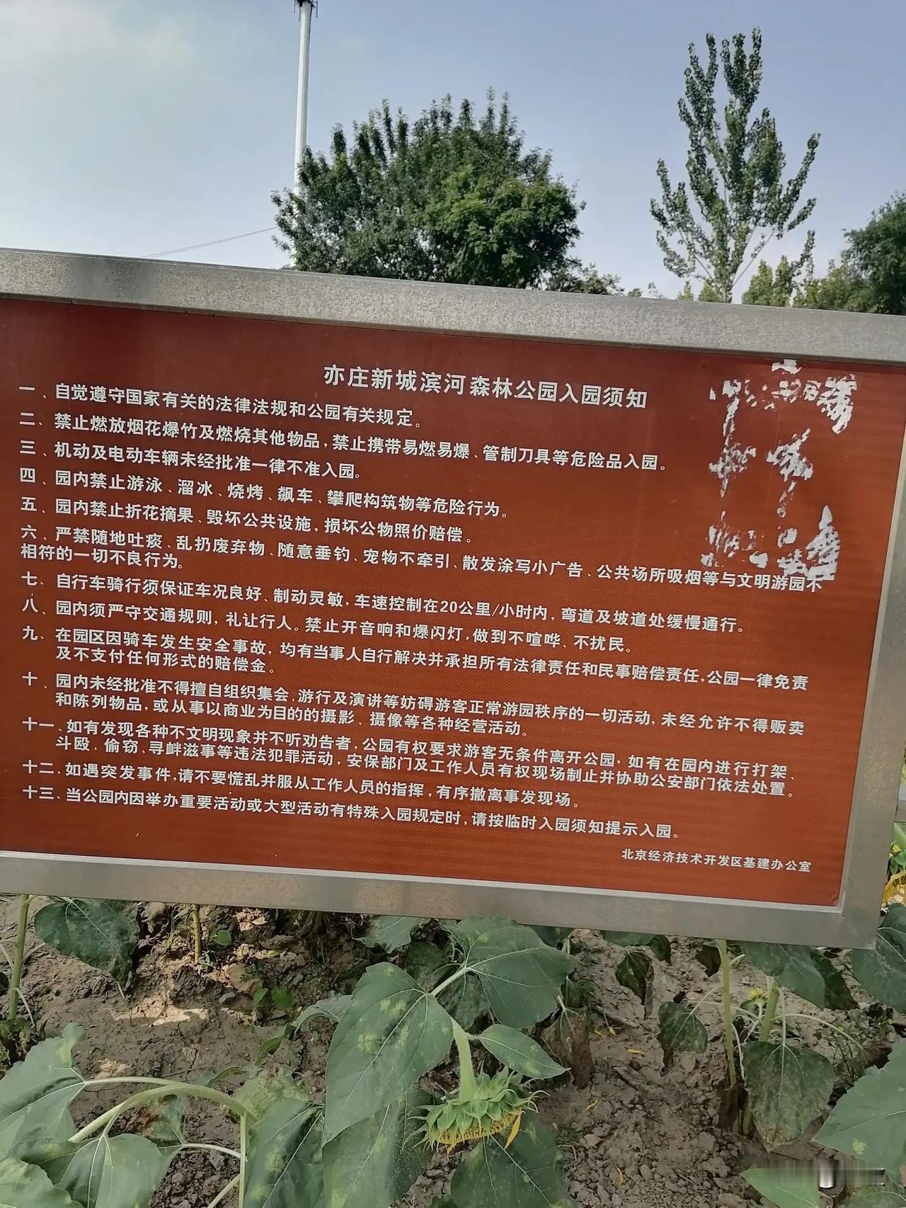 #秋日景色随手拍#