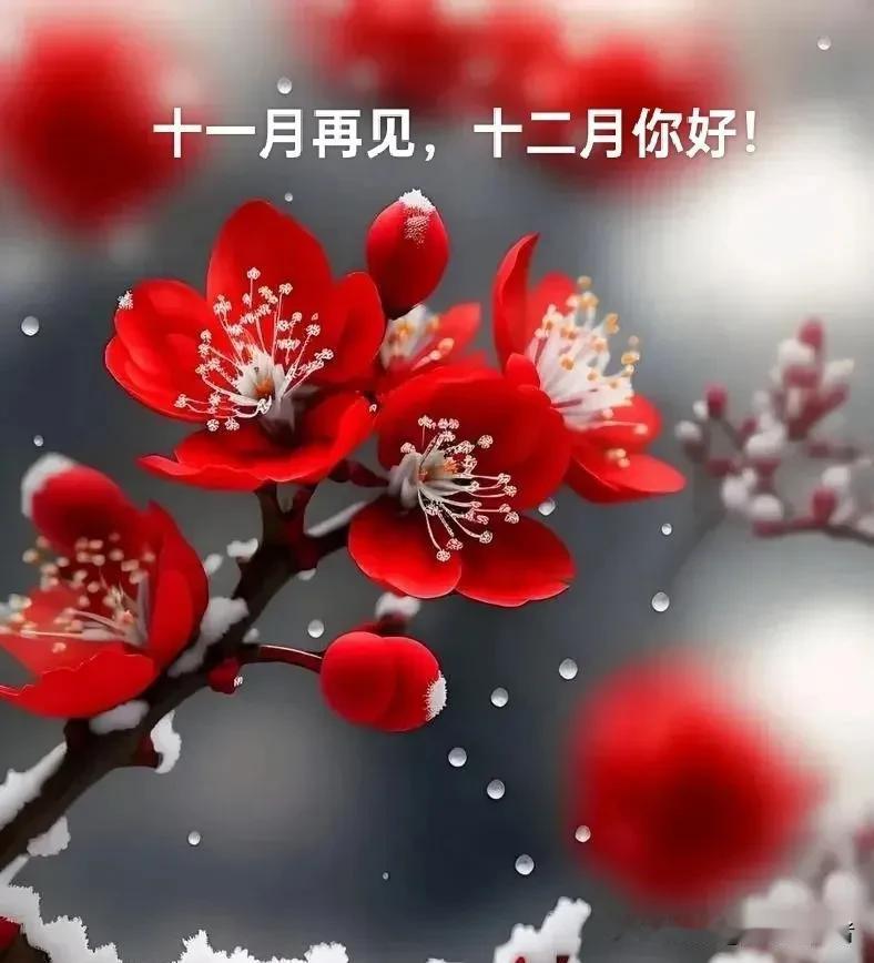 在清晨，被一场梦境惊扰，醒来后的瞬间，心头还余留着惊悸。回望身旁陪伴的菡，一切依