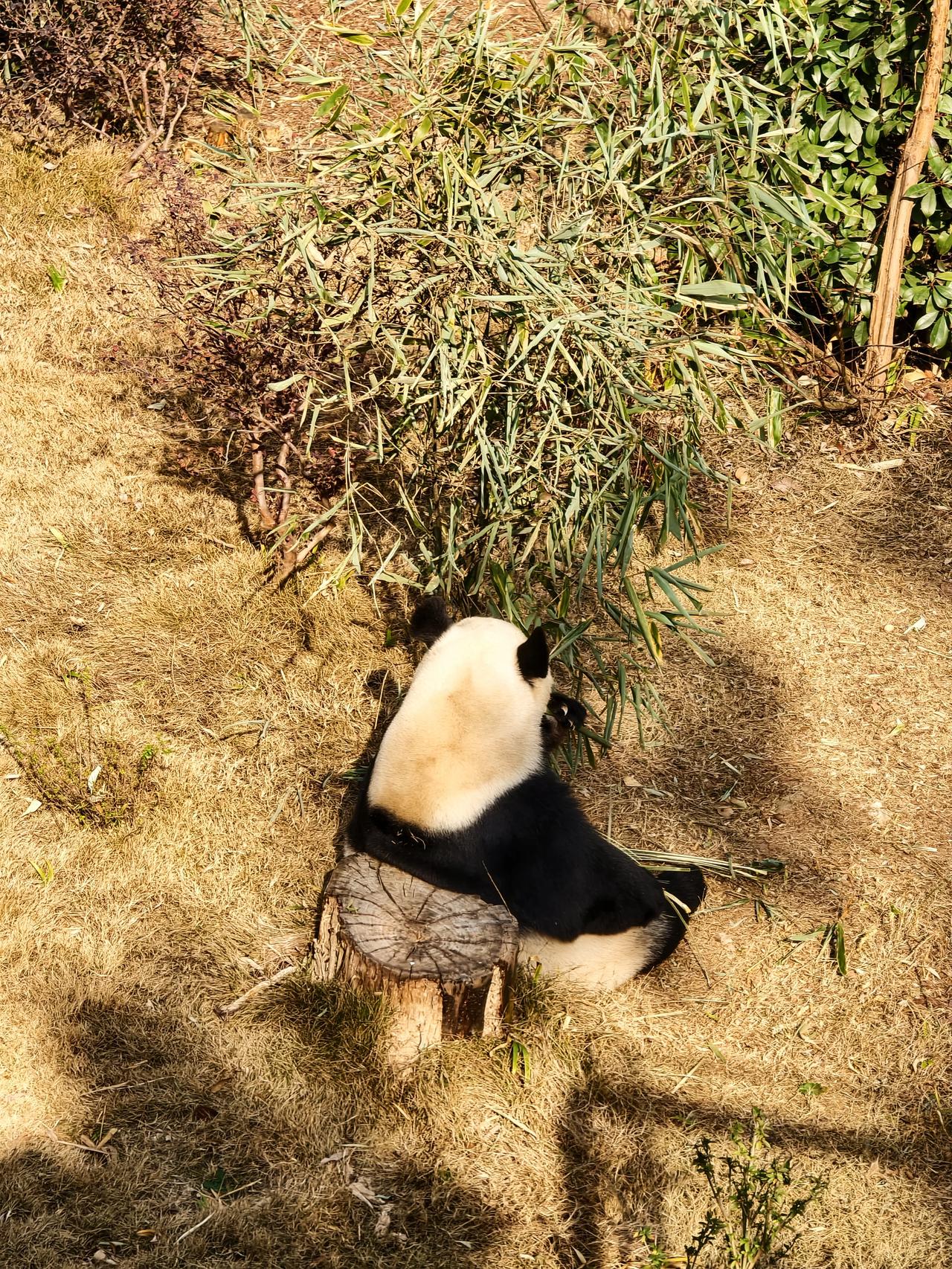 【个人观点，仅供参考】我们密集的高铁网络是不是最开始就是一个错误？

首先，高铁