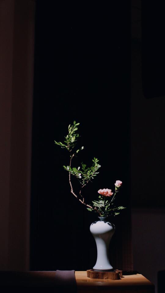 《忘忧》茶花会