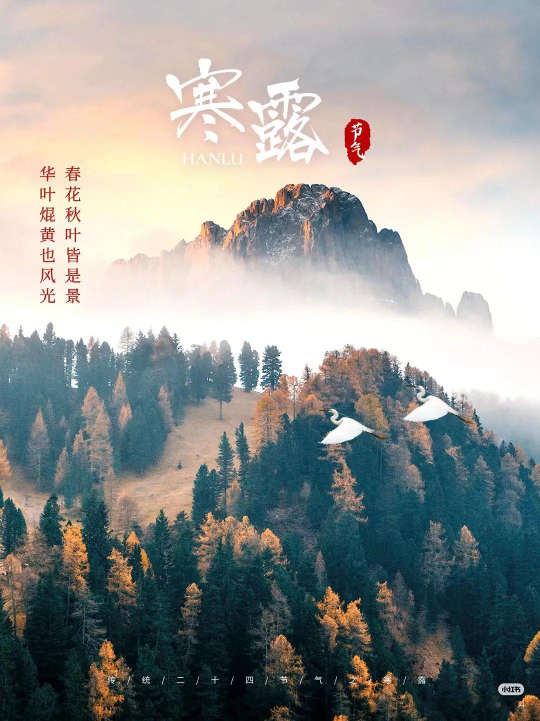 秋韵渐浓，漫山流丹
正是人间好时节
去听——
风吹稻浪的寥窭空空声
;脚踩落叶发