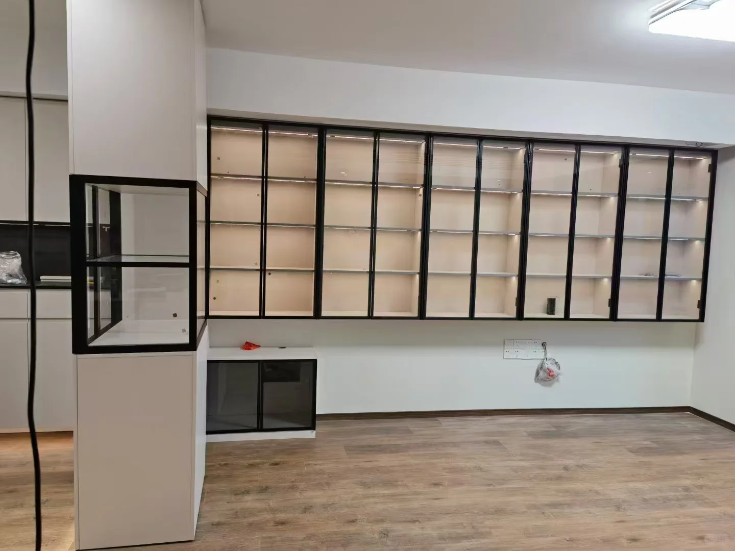 我家针式铰链玻璃门安装好了