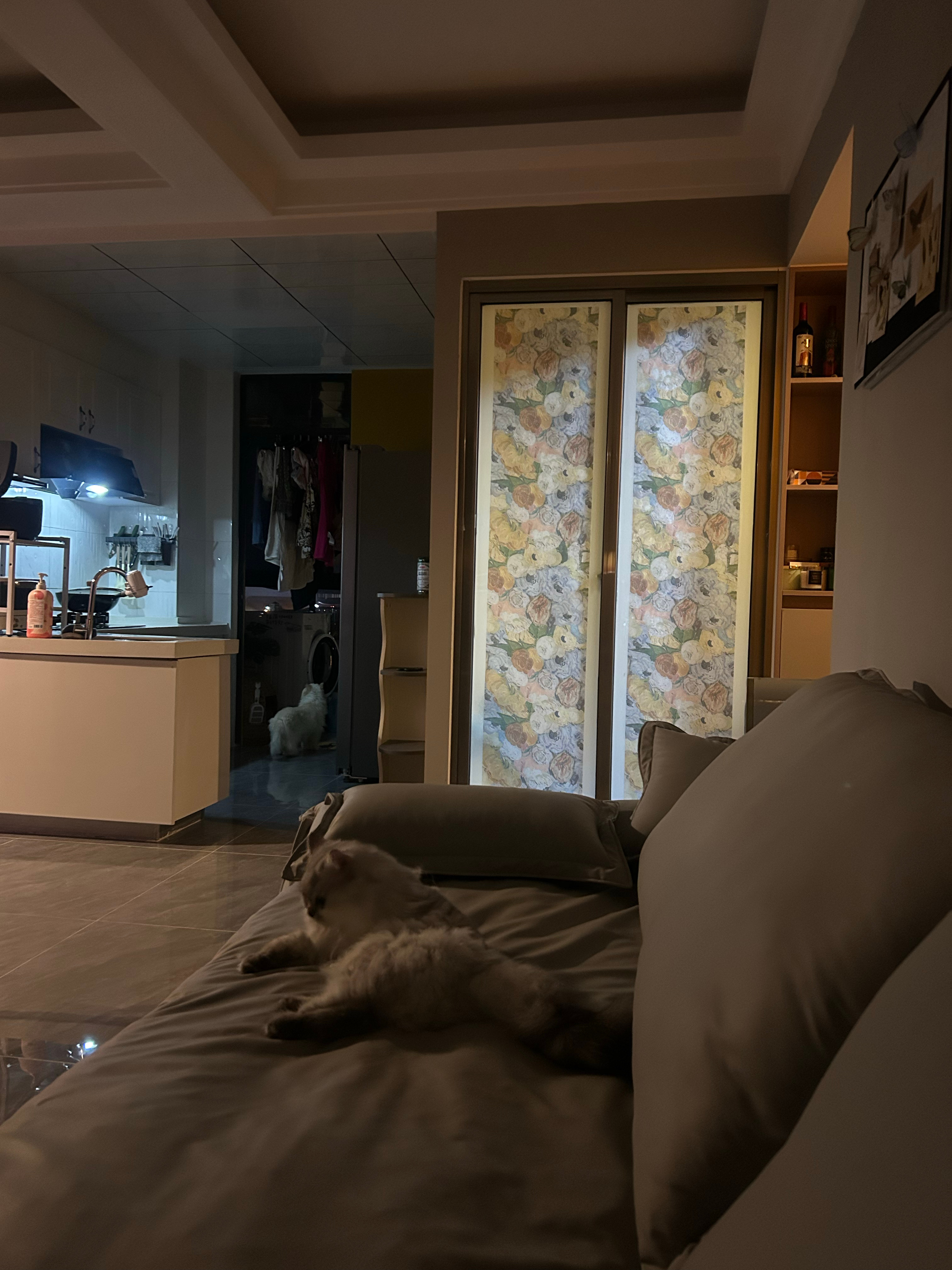 今天又是每月至少一次的偶遇傻杯日，真的真的很讨厌海南人 三亚