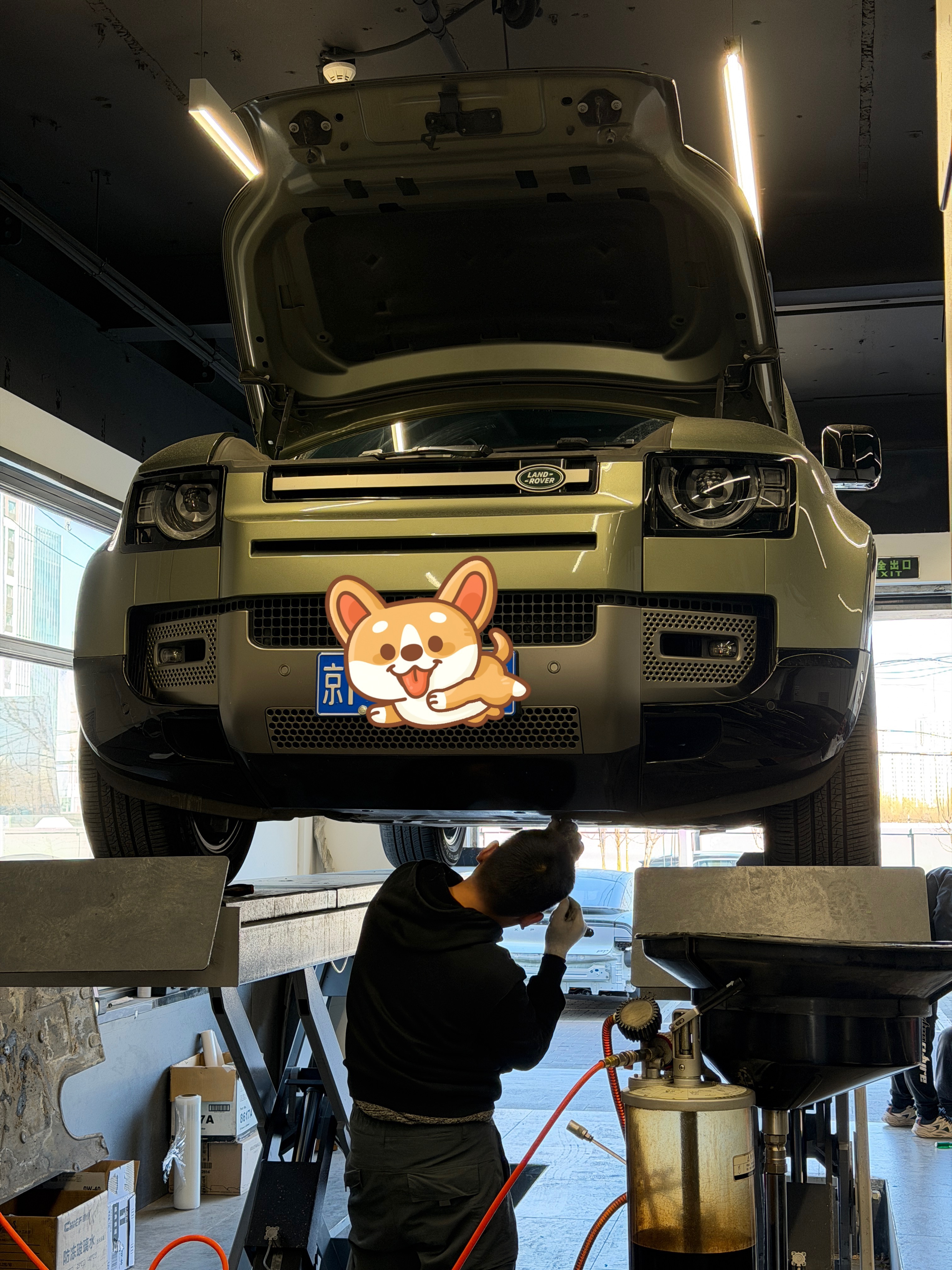 把我的虎虎🐯举高高 举高高我问小伙伴：我也想来拧两下小伙伴：婉拒了哈