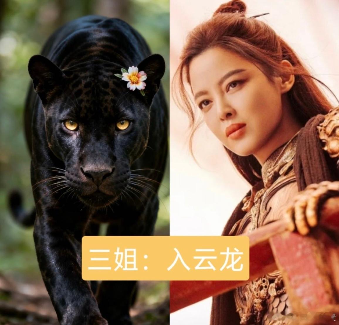 诡秘这是你爱看的云中五虎代餐 诡秘速来围观！云中五虎代餐超精彩！温柔金毛久天、癫