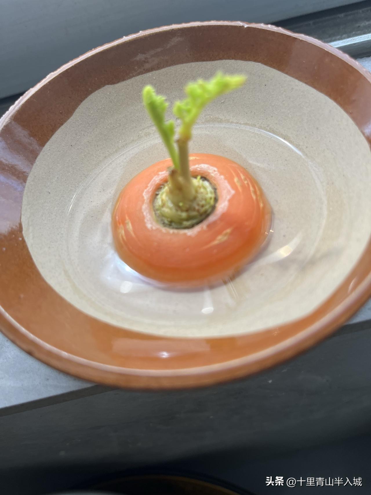 今天中午有些尴尬，锅里的饭不够吃。[捂脸]

早上7点22分，老板娘的老妈微信我