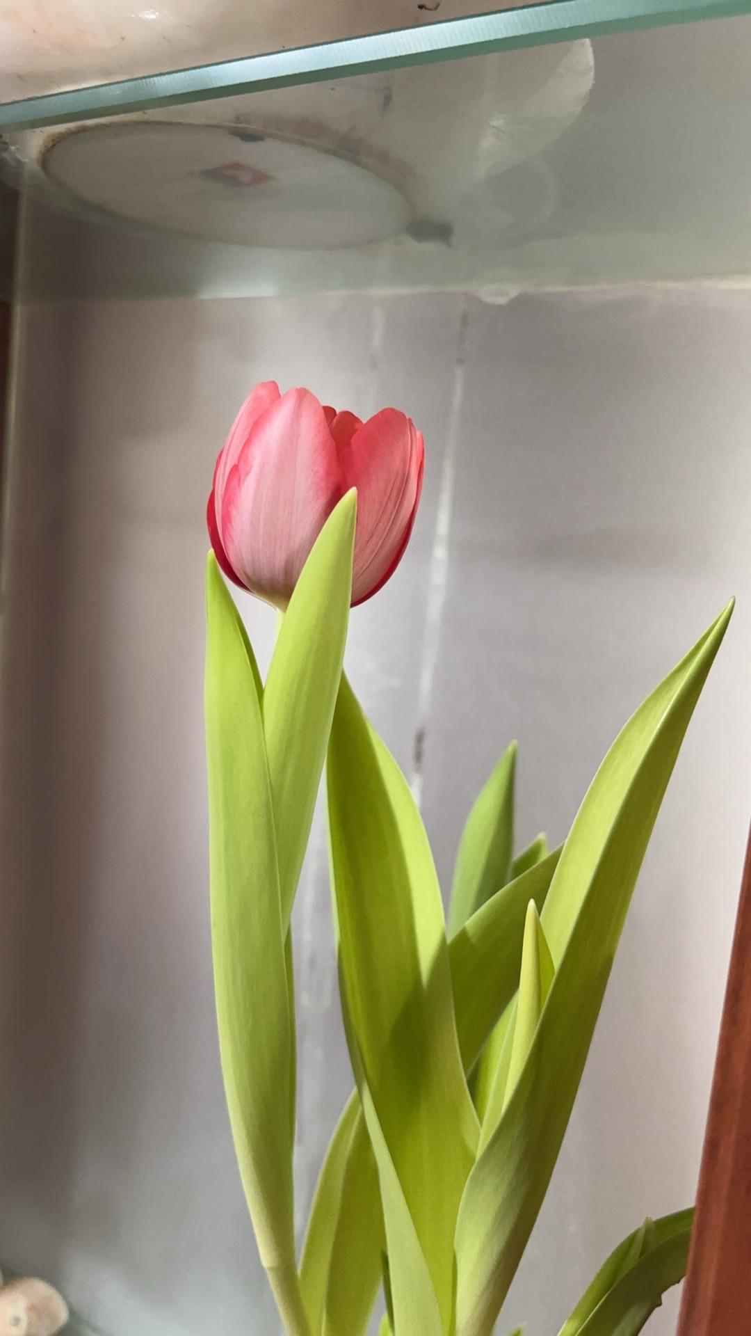 上联：山重水复疑无路；诚邀下联柳暗花明又一村友友请邀对下联