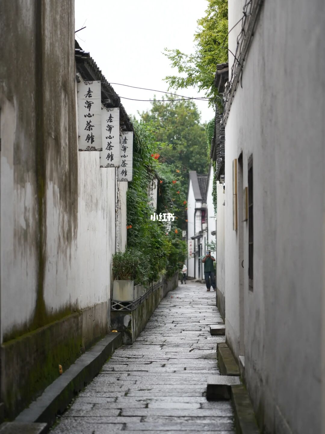 除了去西湖，不要错过这条运河citywalk路线