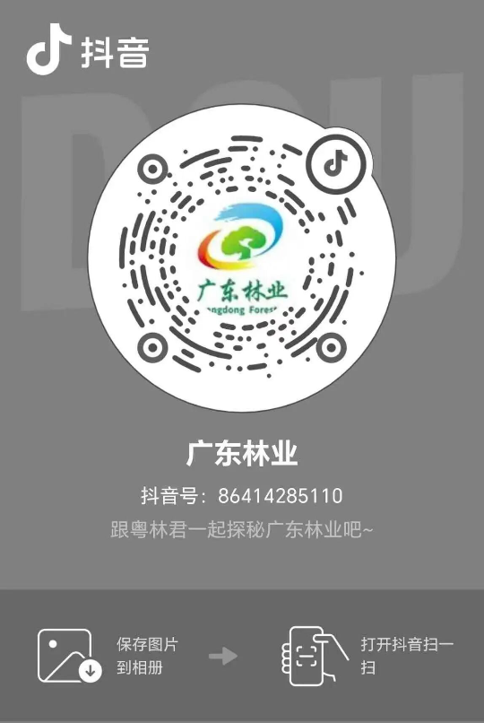 粤野精灵｜山野精灵发来治愈能量