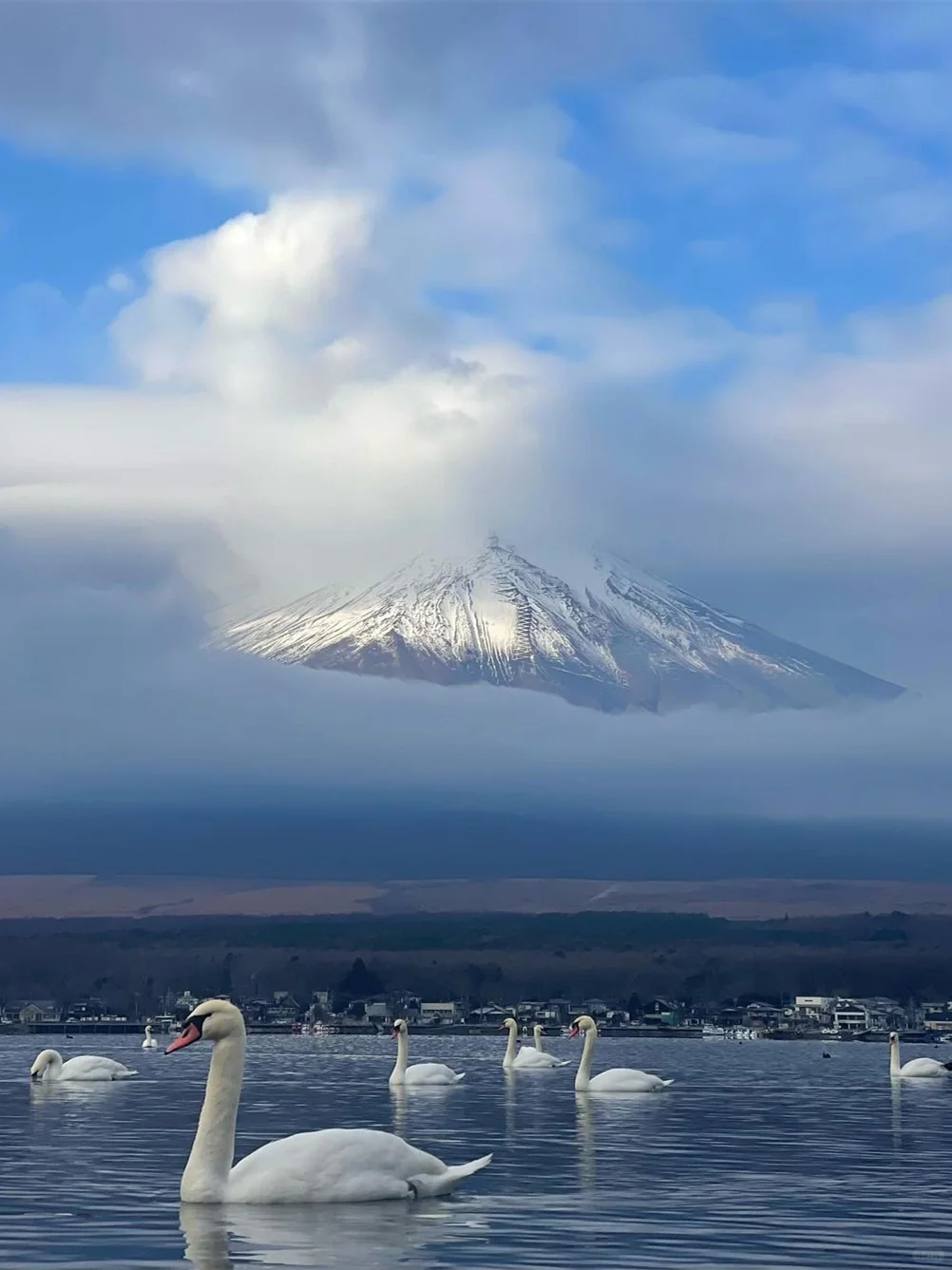 两顿饭钱就拿下【富士山一日游】的快乐谁懂❗