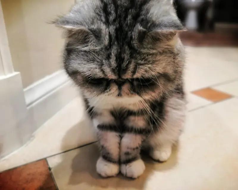 我最思念妈妈的时候，往往是自己孤立无援的时候。小时候受委屈，第一反应就是扑到妈妈