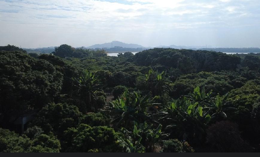 我替网友问一下，智驾负责人是女的还是男的？就这事挺关心，余下的无所谓。

何小鹏