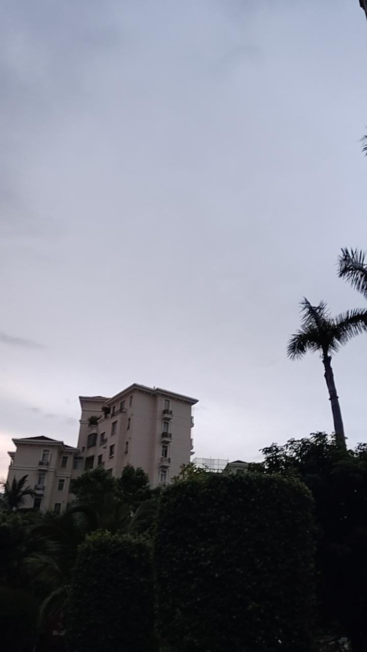 重感冒，咳的前胸贴后背的，难受的不行。
上班的时候就盼着赶紧下班吧，下班了回家躺