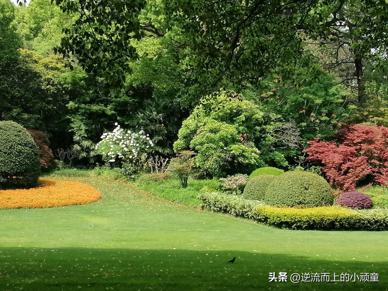 首先，个人品牌能够帮你叩开客户大门。
暂且不谈最终能否达成合作，它至少能为你争取