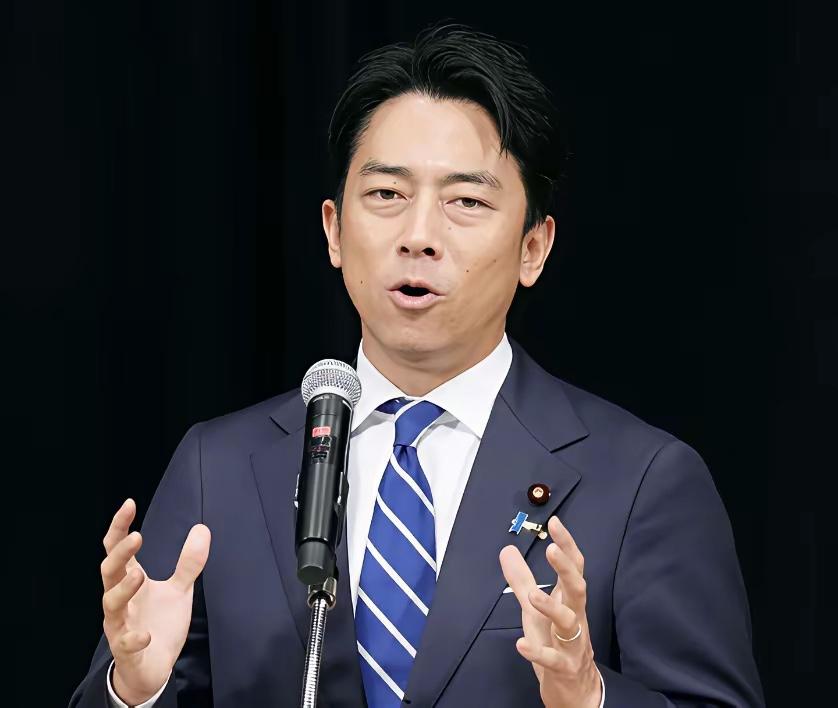 最近这几天国际上挺热闹，四十多个国家的防长凑在香格里拉对话会开会。

会上，日本