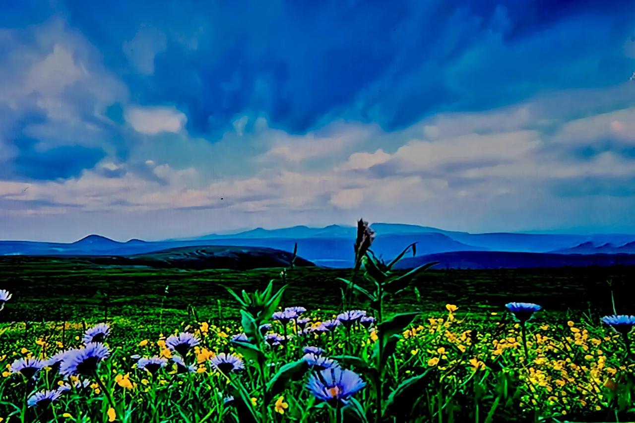 山花烂漫，心旷神怡