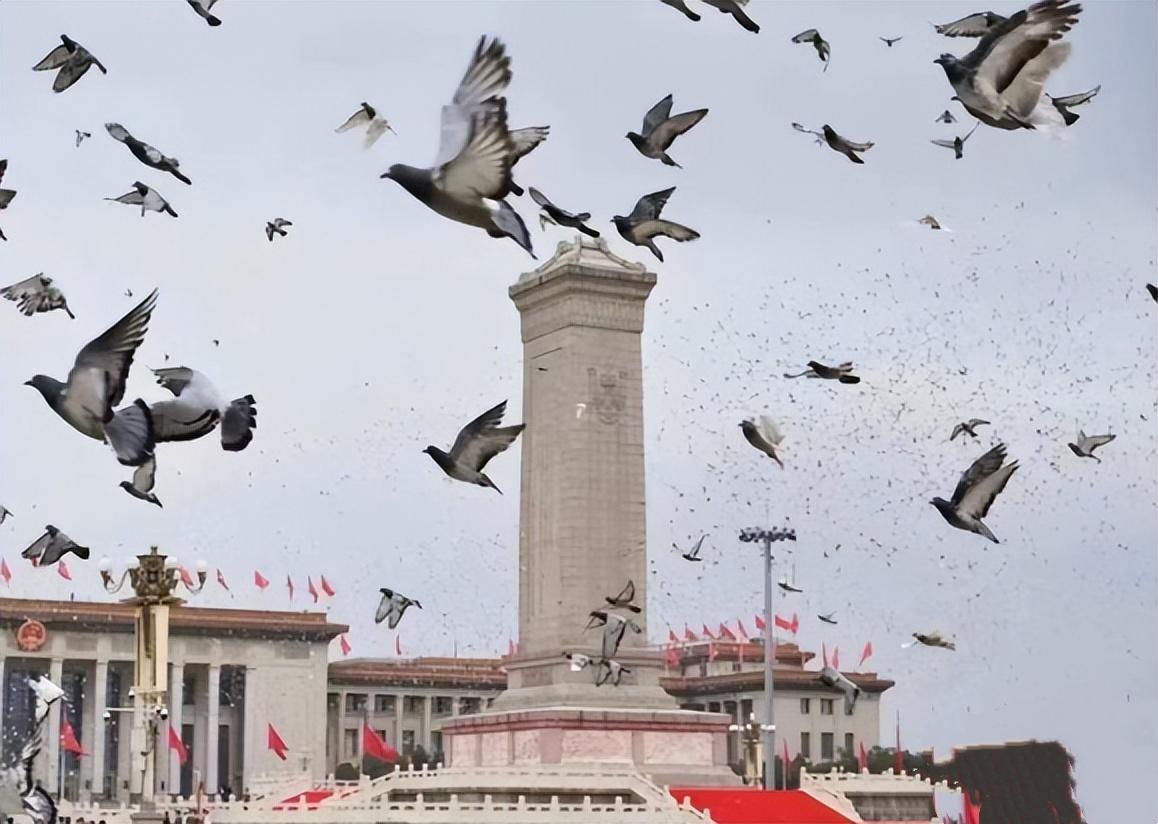 中俄绝非唇亡齿寒，历史早已给出答案！
 
不少人爱用唇亡齿寒形容中俄，可翻看两国
