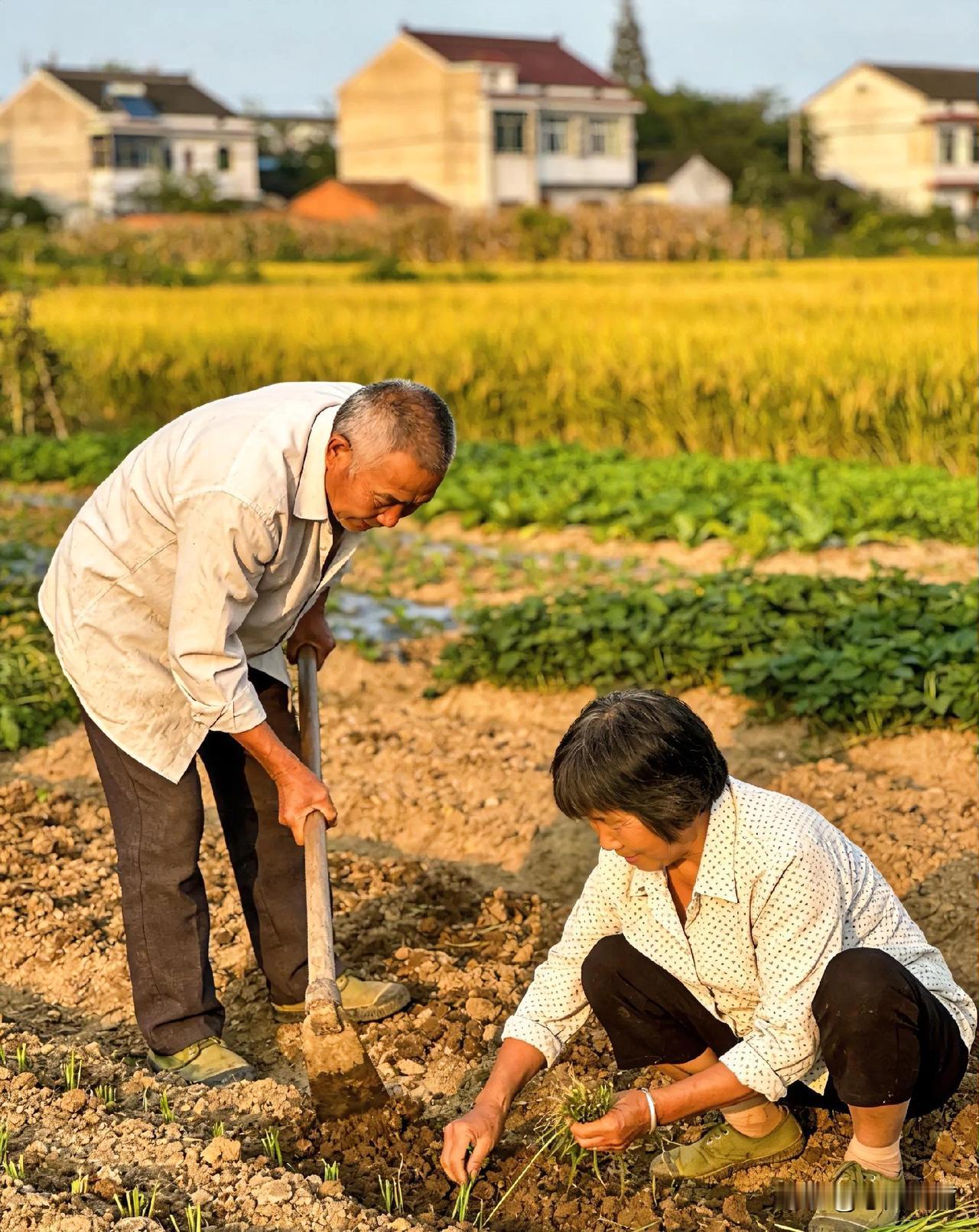 不是不愿生，是真的生不起！农村年轻人为何一胎都不敢再要？
 
现在国家鼓励生育三