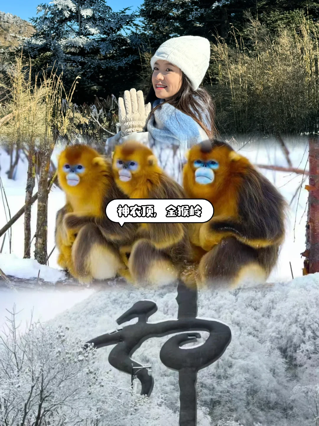 雪乡太远了，今年就去神农架滑雪🏂🏻