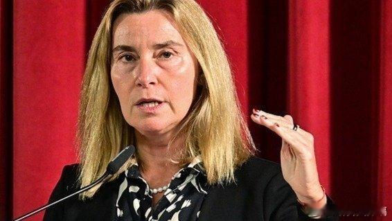 凤凰新闻【比利时警方突袭欧盟外交机构，欧盟前外长等3人被拘留】【文/观察者网陈思