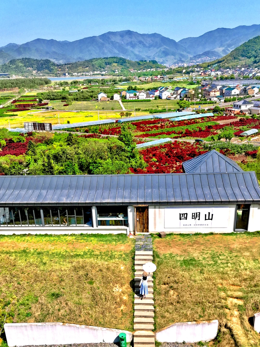 在宁波！我发现了避世的山野茶园‼️