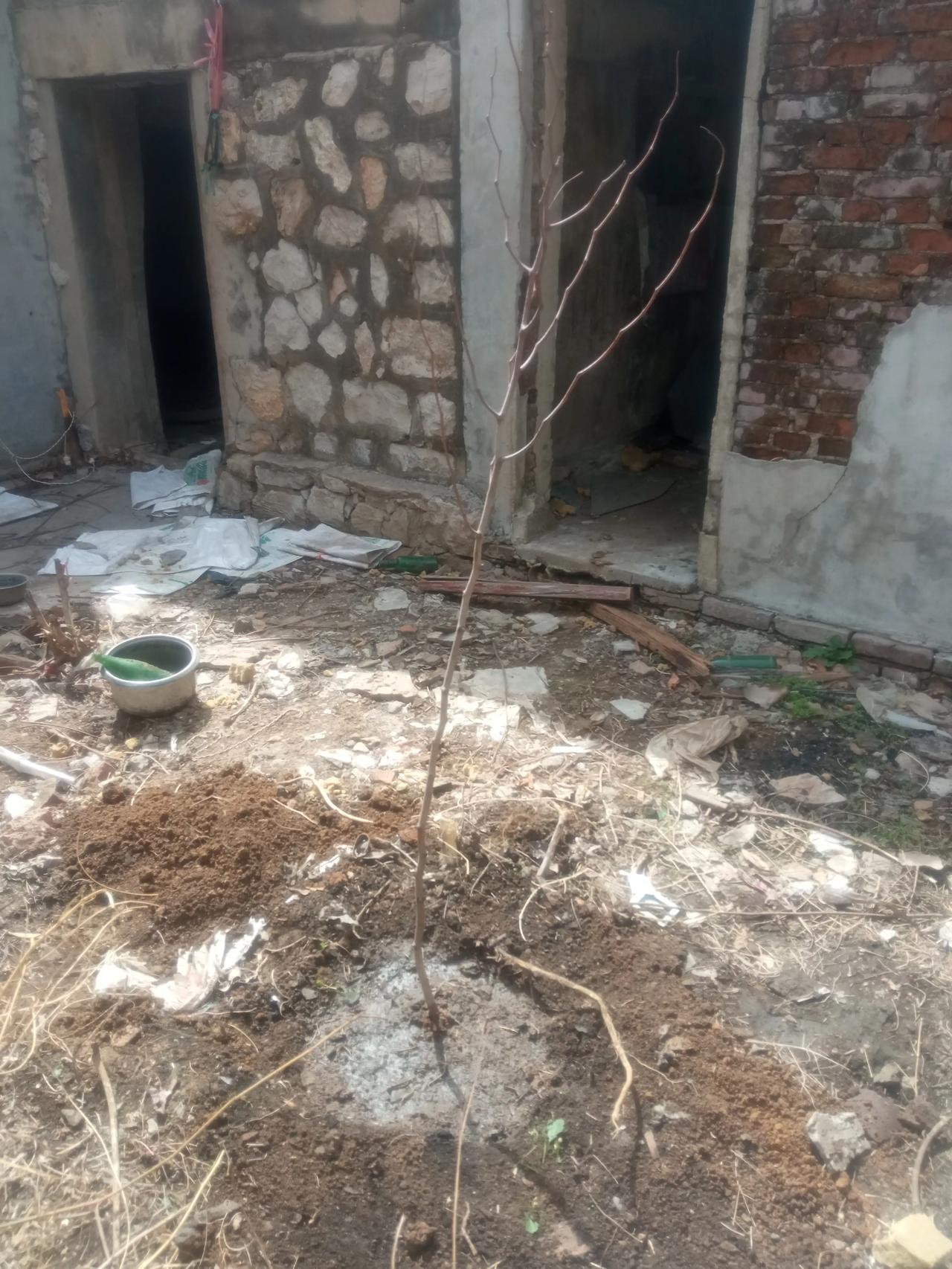 #评论区表情包大赛#