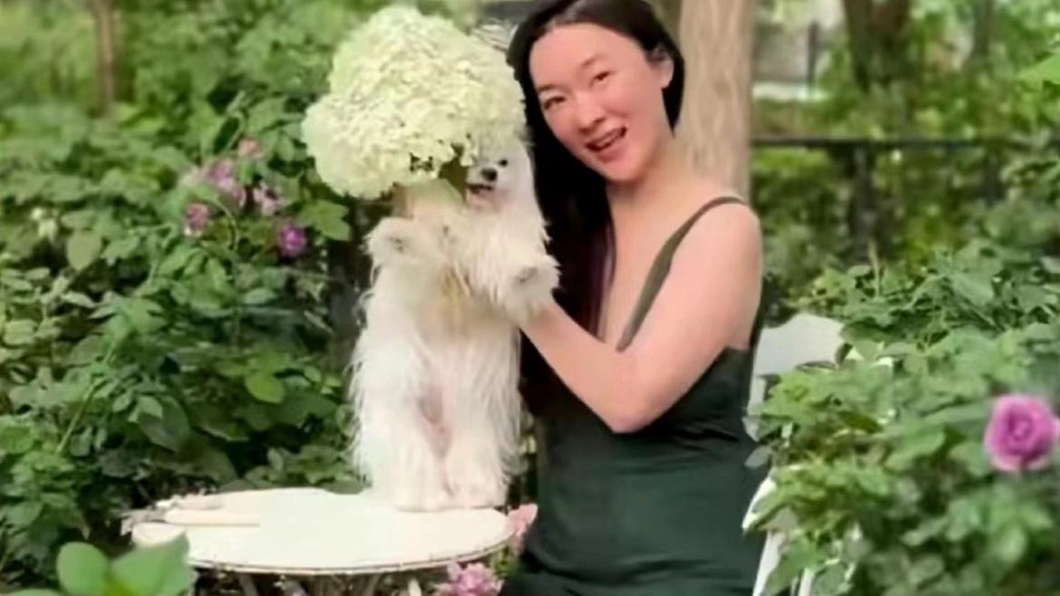 你知道吗？霍思燕半夜爬起来给小狗美容的趣事最近被杜江爆出来，逗笑了不少网友。
原