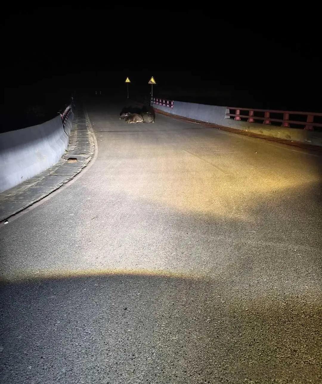 路上遇到这种情况该怎么办呢？