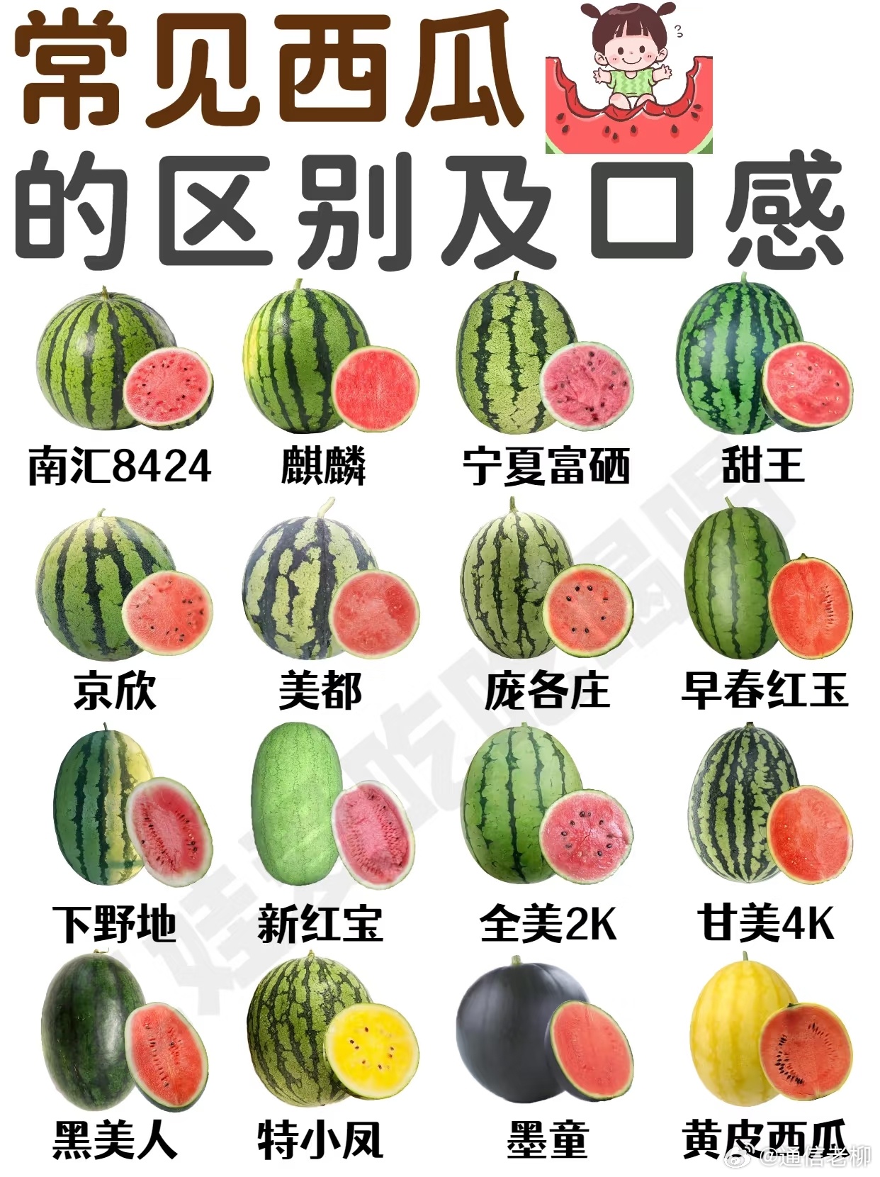吃了这么多年，结果现在让个西瓜种类给整迷糊了…美食 ​​​